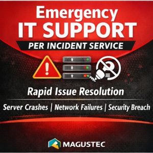 Emergency IT Support – Per Incident